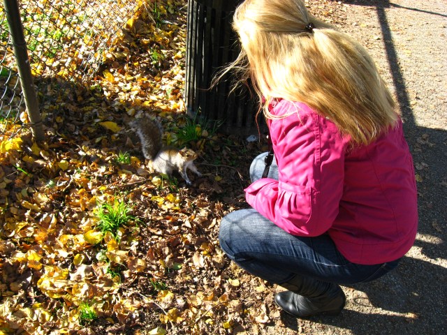 Andreea und das Killer-Squirrel