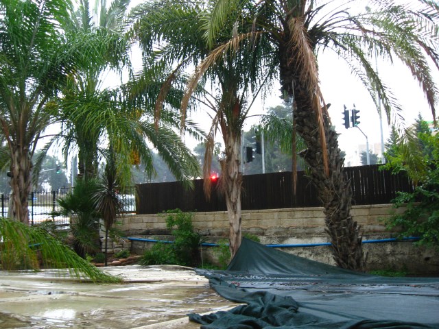 Blick aus meinem Fenster