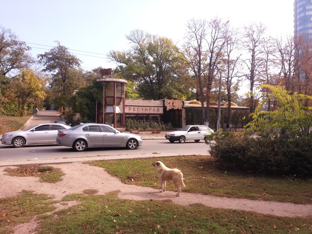 PECTOPAH (= Restaurant). Vielleich ein Kandidat fürs Abendessen?