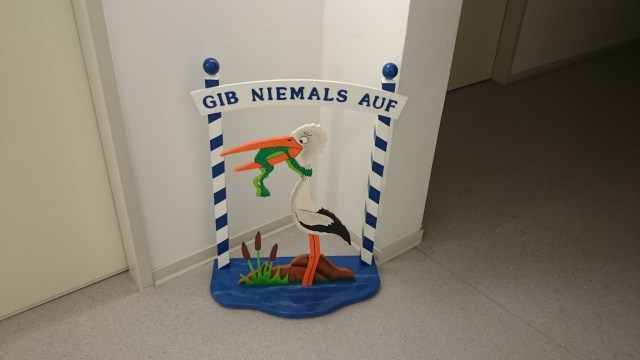 Gib niemals auf!
