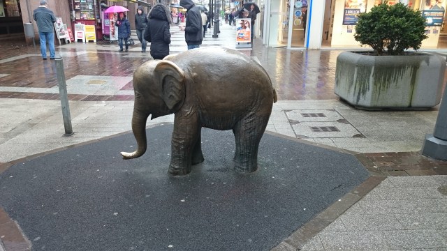 Tuffi, der Elefant, der aus der Schwebebahn fiel